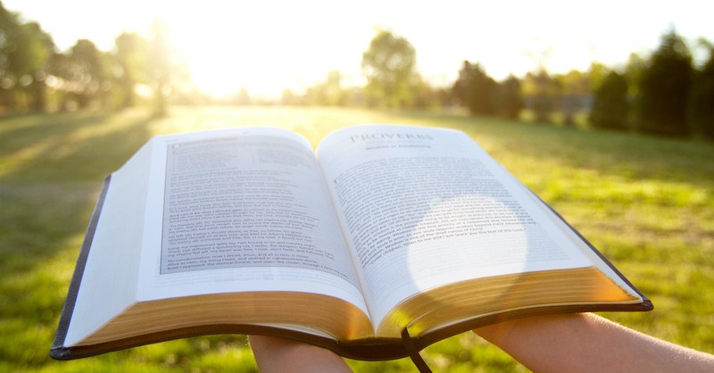 Person Holding Bible